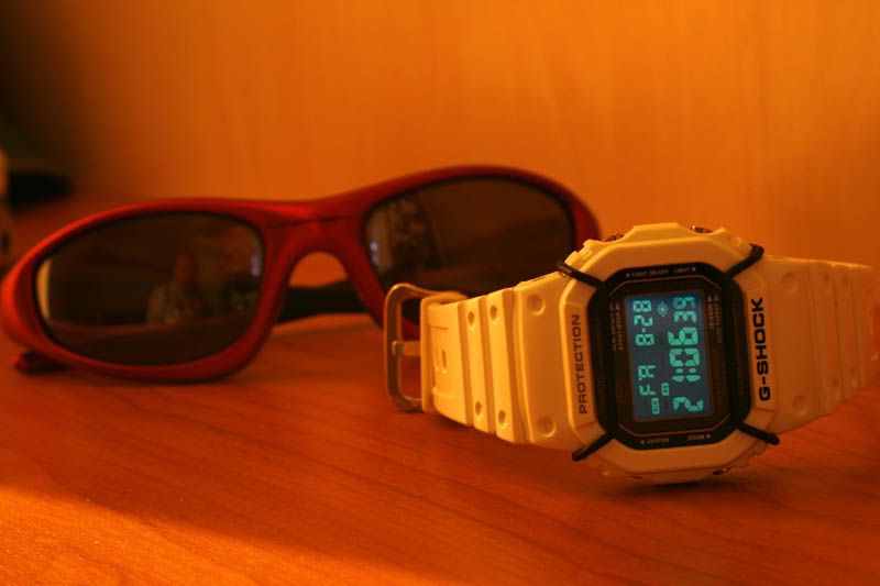 casio bull bars